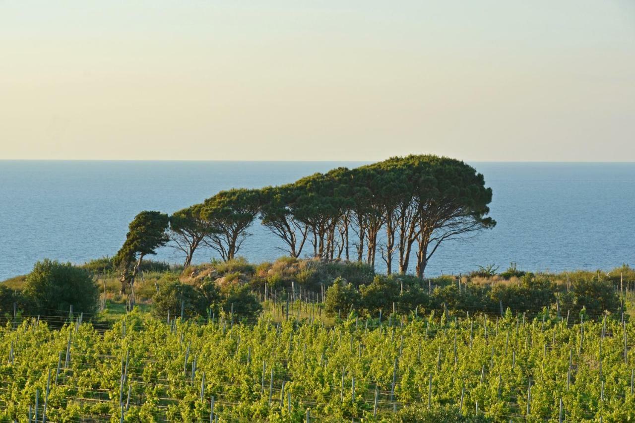 Tenuta Rasocolmo Messina Exteriör bild
